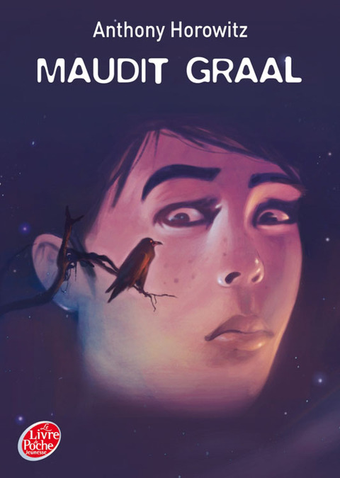 Cover image for book Maudit Graal
