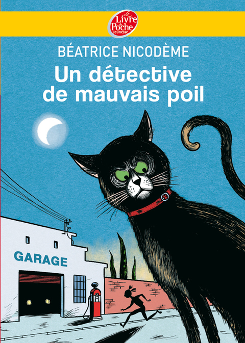 Cover image for book Un détective de mauvais poil