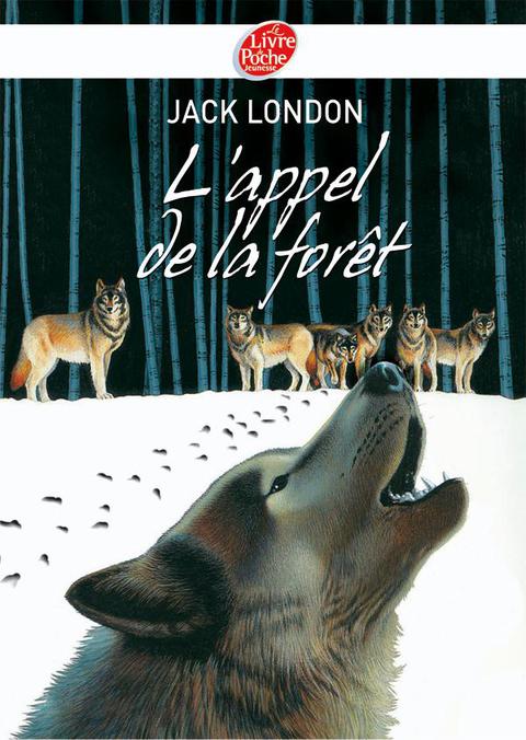 Cover image for book L'appel de la forêt - Texte intégral