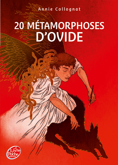 Cover image for book 20 métamorphoses d'Ovide