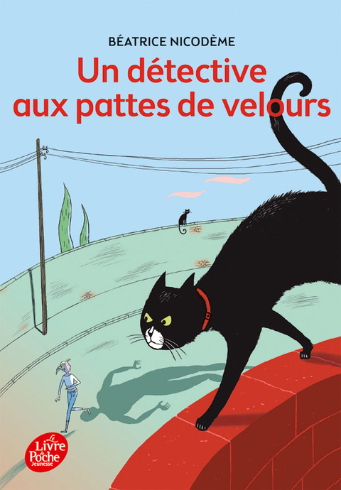 Cover image for book Un détective aux pattes de velours