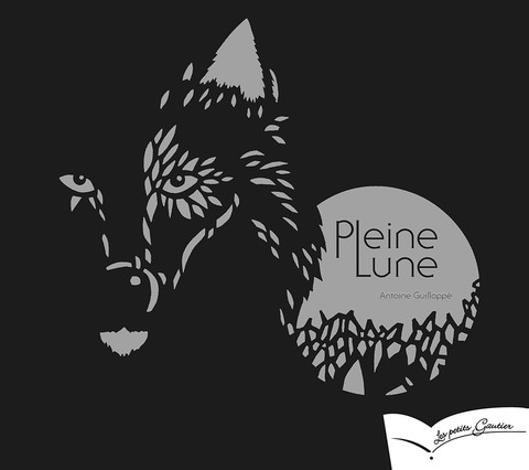 Cover image for book Pleine Lune