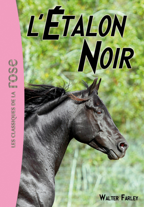 Cover image for book L'Étalon Noir 01 - L'Étalon Noir