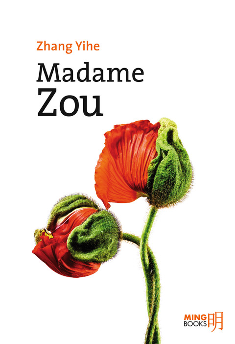 Cover image for book Madame Zou