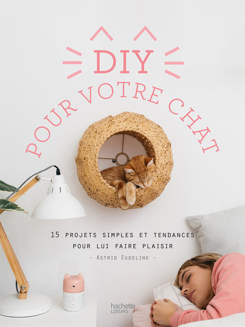 Cover image for book DIY pour votre chat
