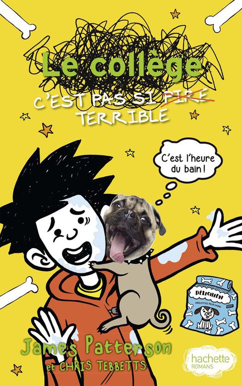 Cover image for book Le collège c'est pas si terrible