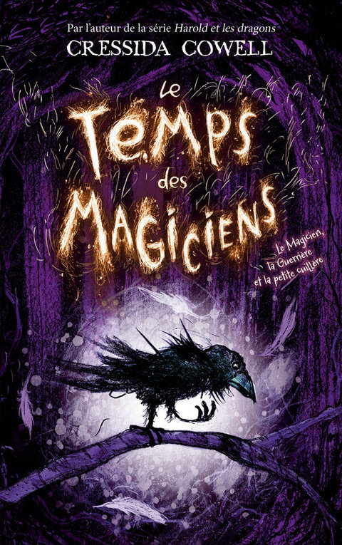 Cover image for book Le Temps des Magiciens - Tome 1 - Le Magicien, la Guerrière et la petite cuillère