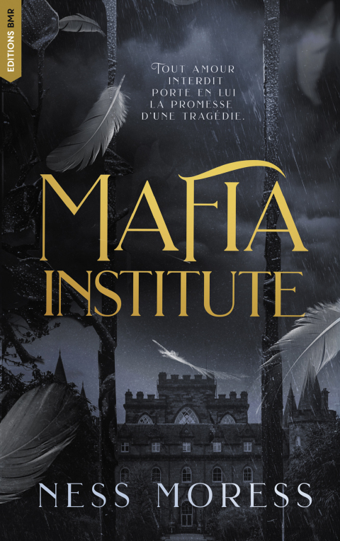 Cover image for book Mafia Institute