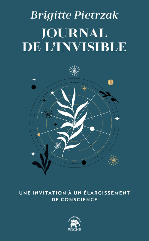 Cover image for book Journal de l'invisible