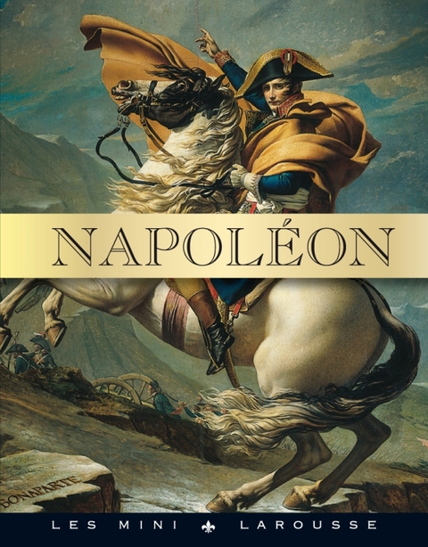 Cover image for book Napoléon