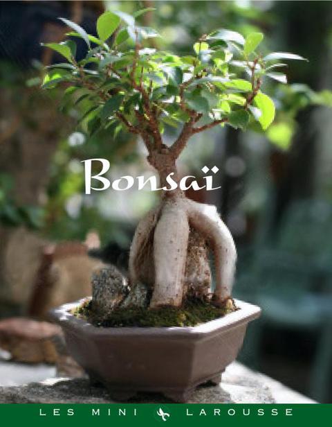 Cover image for book Bonsaï