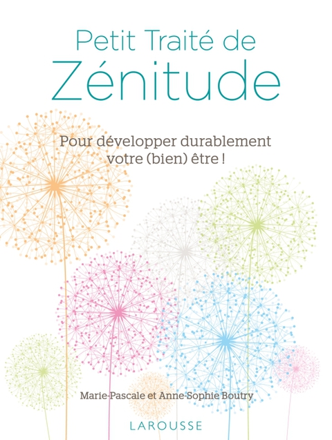 Cover image for book Petit Traité de Zénitude