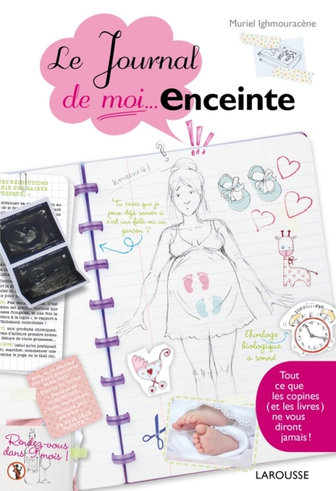 Cover image for book Le journal de moi...enceinte