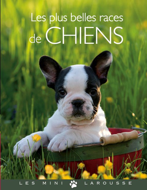 Cover image for book Les plus belles races de chiens