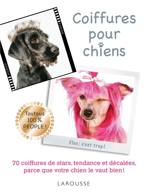 Cover image for book Coiffures pour chiens