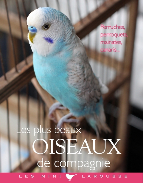Cover image for book Les plus beaux oiseaux de compagnie