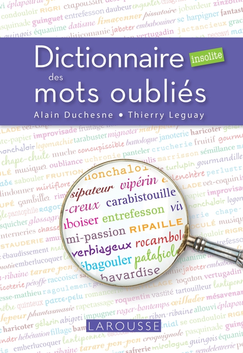Cover image for book Dictionnaire insolite des mots oubliés