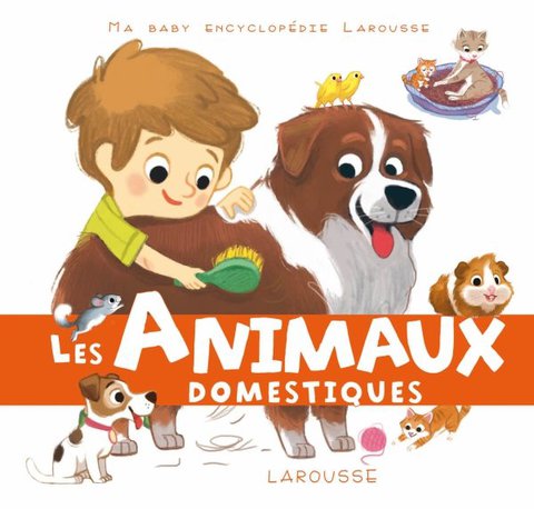 Cover image for book Les animaux domestiques