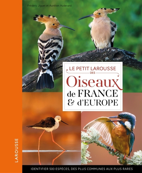 Cover image for book Petit Larousse des oiseaux de France et d'Europe