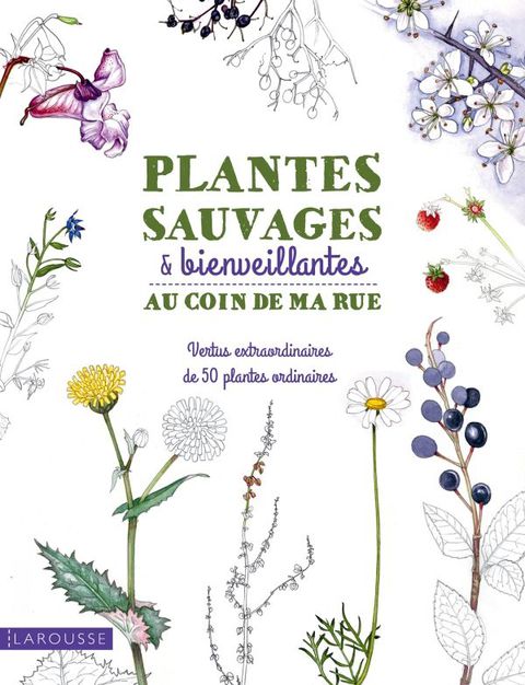 Cover image for book Plantes sauvages & bienveillantes au coin de ma rue