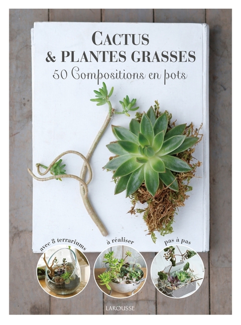 Cover image for book Cactus et plantes grasses