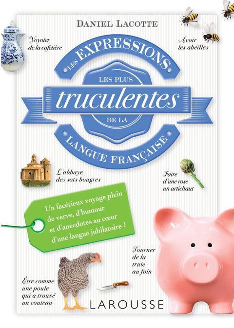 Cover image for book Les expressions les plus truculentes de la langue française