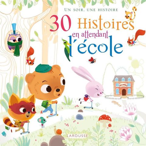 Cover image for book 30 Histoires en attendant l'école