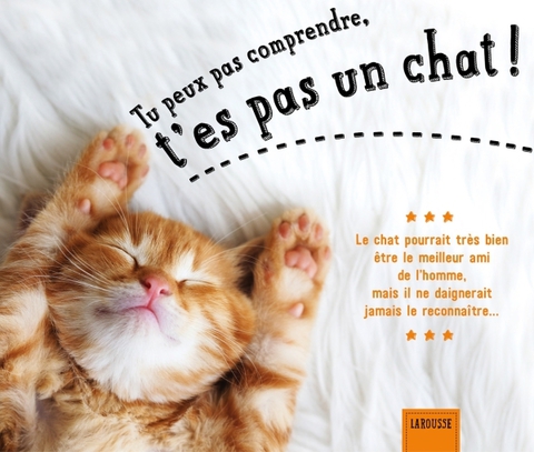 Cover image for book Tu peux pas comprendre, t'es pas un chat !