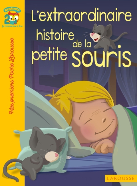 Cover image for book L'extraordinaire histoire de la petite souris