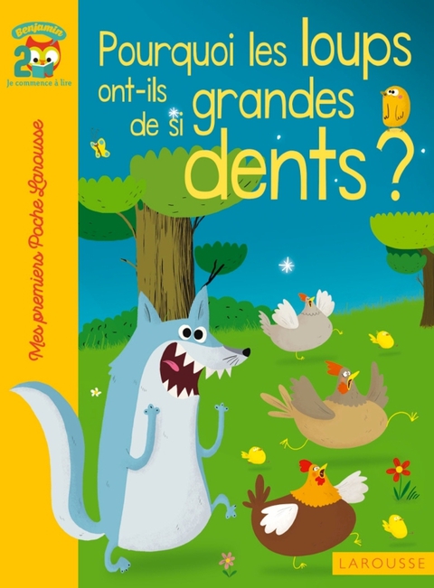 Cover image for book Pourquoi les loups ont-ils de si grandes dents