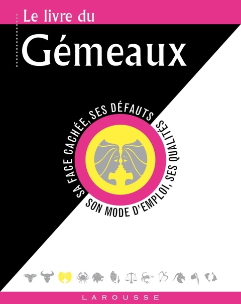 Cover image for book Le livre des Gémeaux