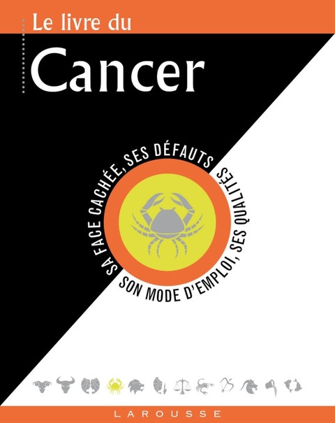 Cover image for book Le livre du Cancer