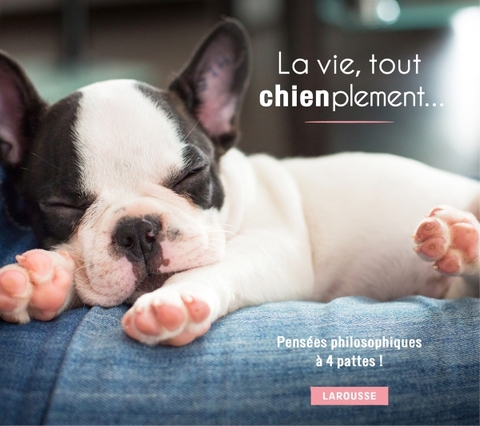 Cover image for book La vie, tout chienplement...