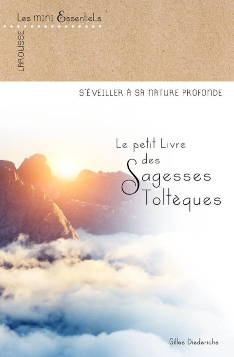 Cover image for book Le petit livre des sagesses toltèques
