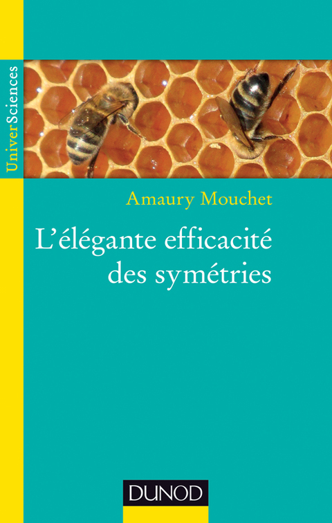 Cover image for book L'élégante efficacité des symétries