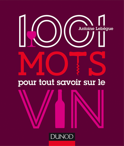 Cover image for book 1001 mots pour tout savoir sur le vin