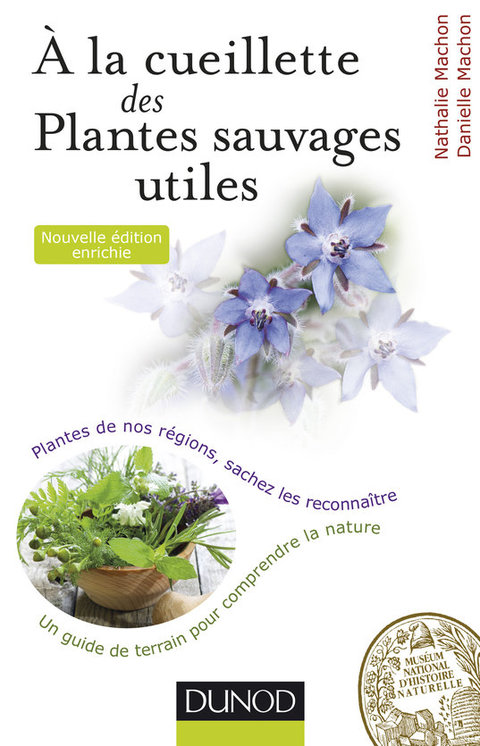 Cover image for book À la cueillette des plantes sauvages utiles - 2e édition