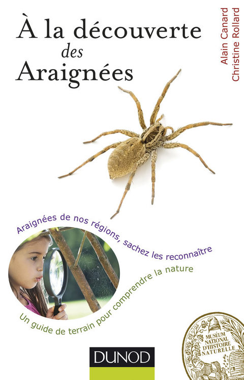Cover image for book A la découverte des Araignées