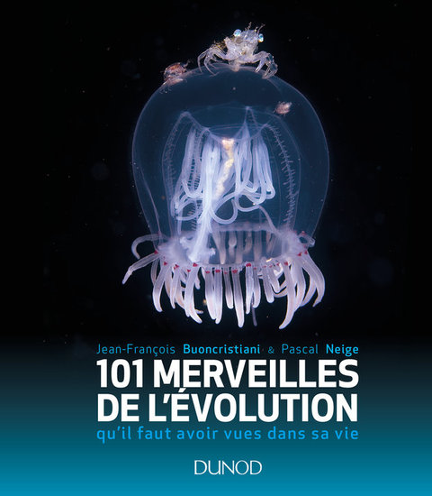 Cover image for book 101 merveilles de l'évolution...
