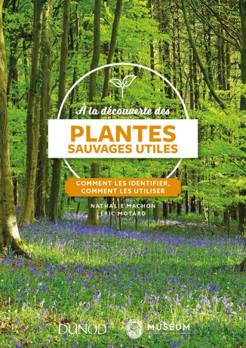 Cover image for book À la découverte des plantes sauvages utiles