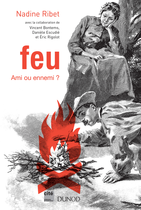 Cover image for book Feu - Ami ou ennemi ?