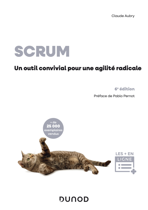 Cover image for book Scrum