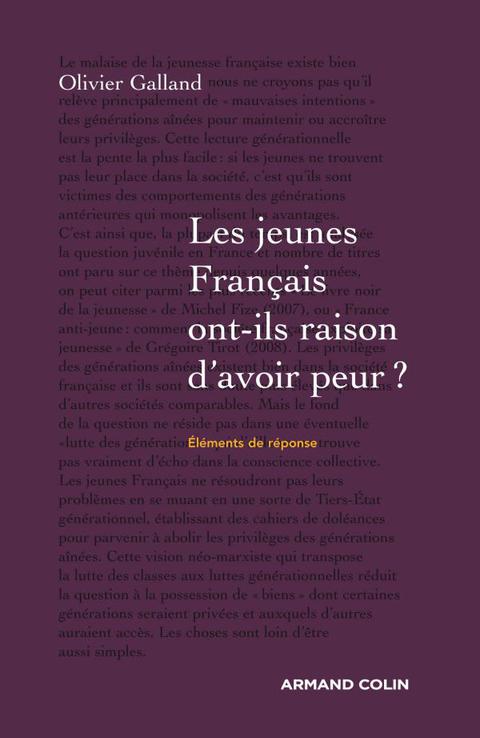 Cover image for book Les jeunes Français ont-ils raison d'avoir peur ?