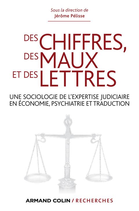 Cover image for book Des chiffres des maux et des lettres