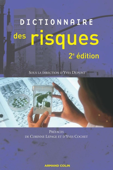 Cover image for book Dictionnaire des risques