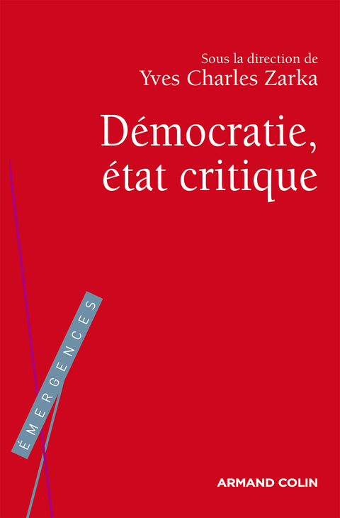 Cover image for book La Démocratie, état critique