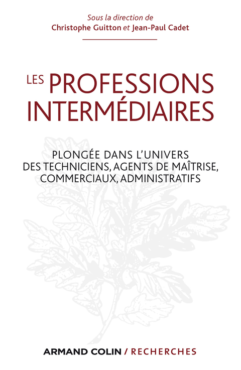 Cover image for book Les professions intermédiaires