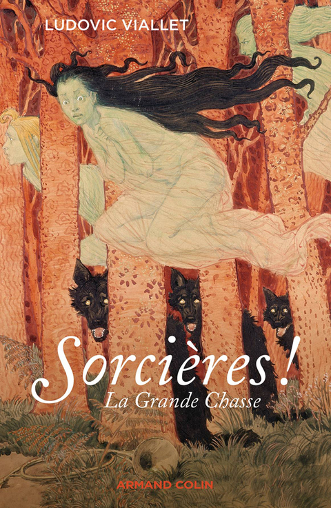 Cover image for book Sorcières !