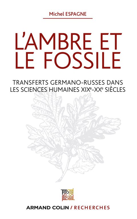 Cover image for book L'ambre et le fossile - Transferts germano-russes dans les sciences humaines XIXe-XXe