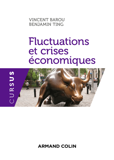 Cover image for book Fluctuations et crises économiques
